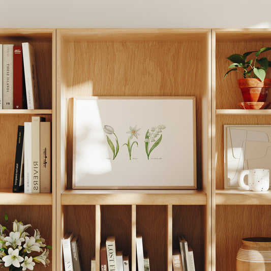 Ilustración flores blancas