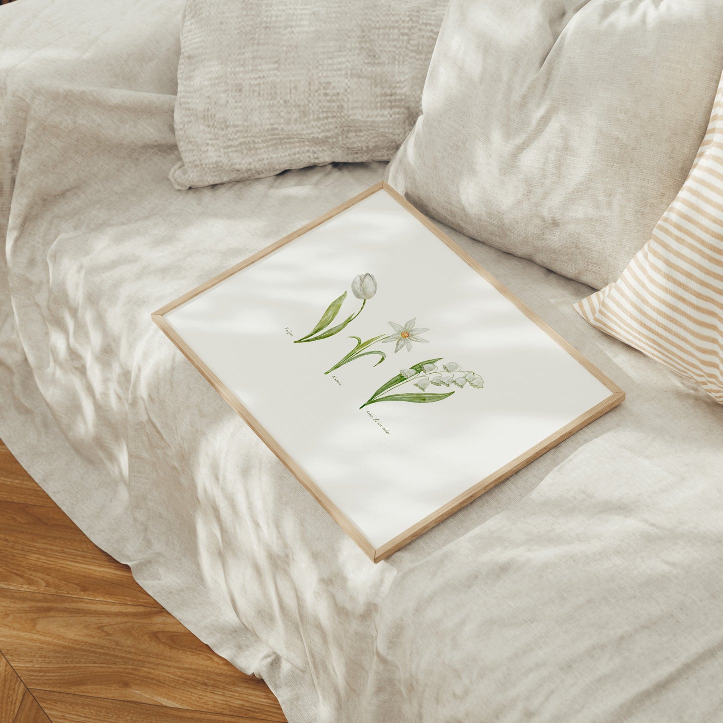 Ilustración flores blancas