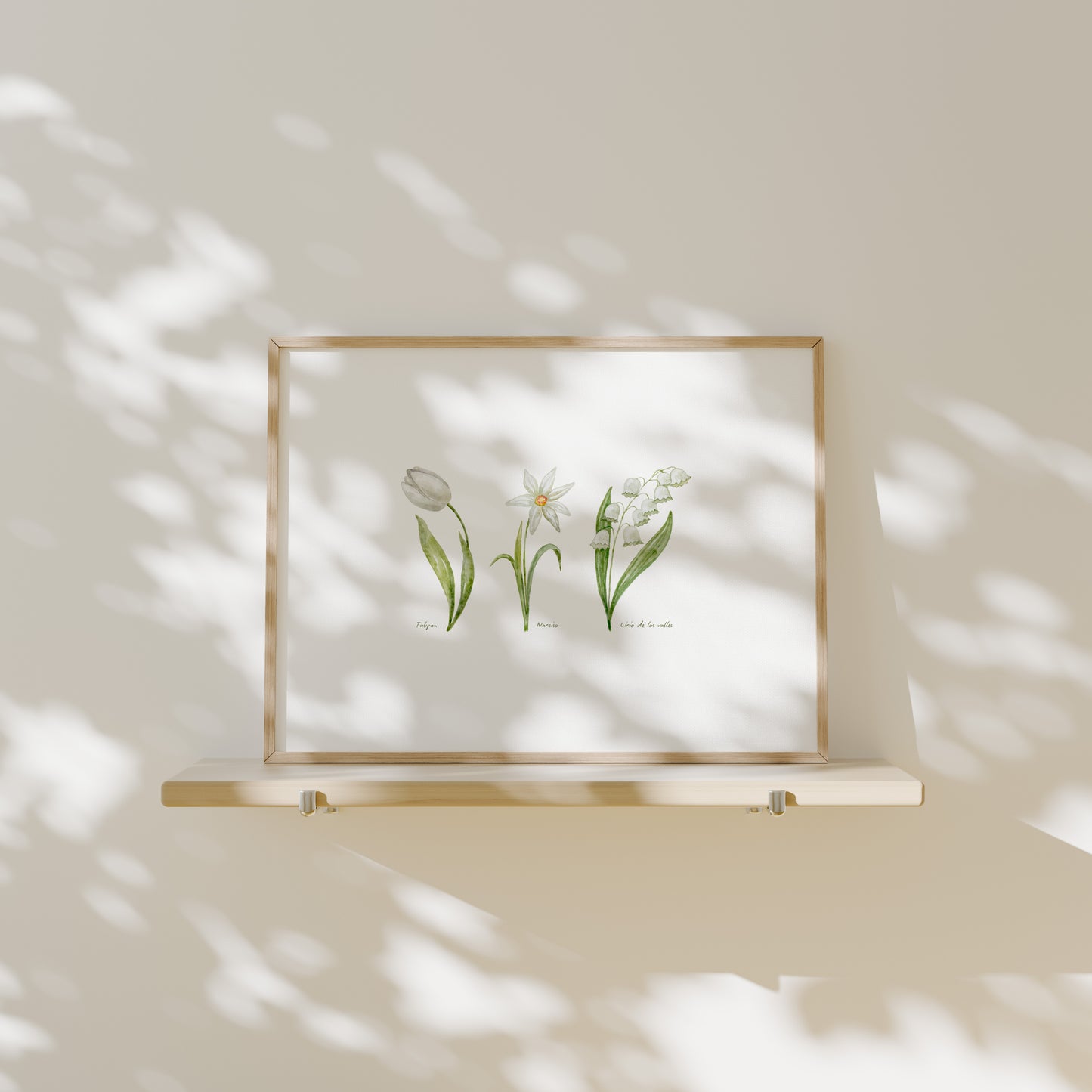 Ilustración flores blancas