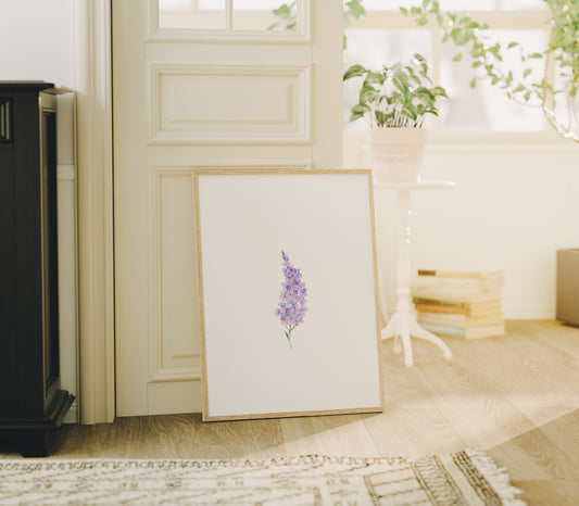 Ilustración flor lila