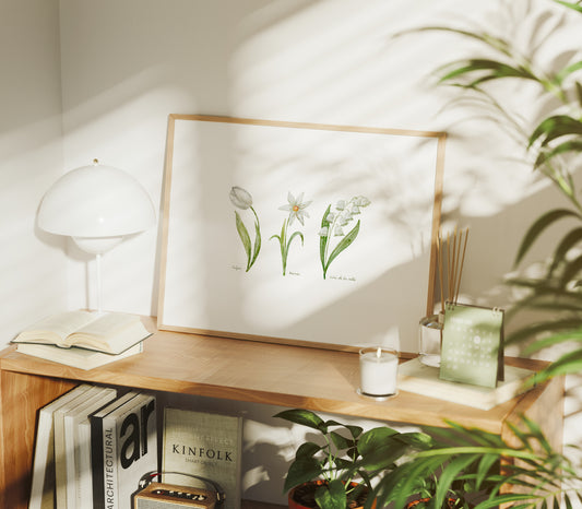 Ilustración flores blancas